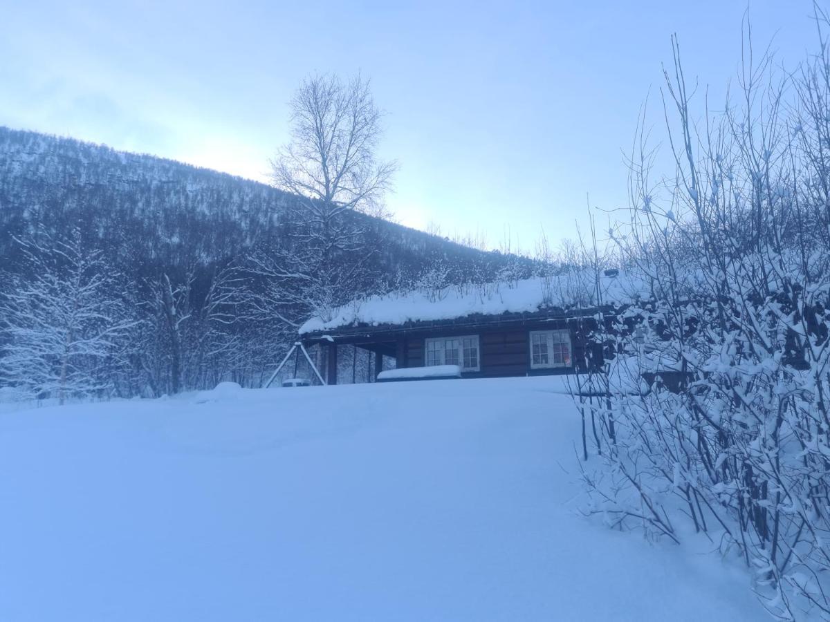 Sunndalsfjord Cottages Fredsvik Meisalstranda 455,506 Og 508 Sunndalsøra Exterior foto
