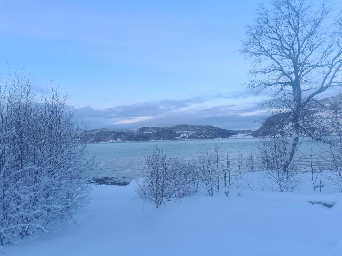 Sunndalsfjord Cottages Fredsvik Meisalstranda 455,506 Og 508 Sunndalsøra Exterior foto