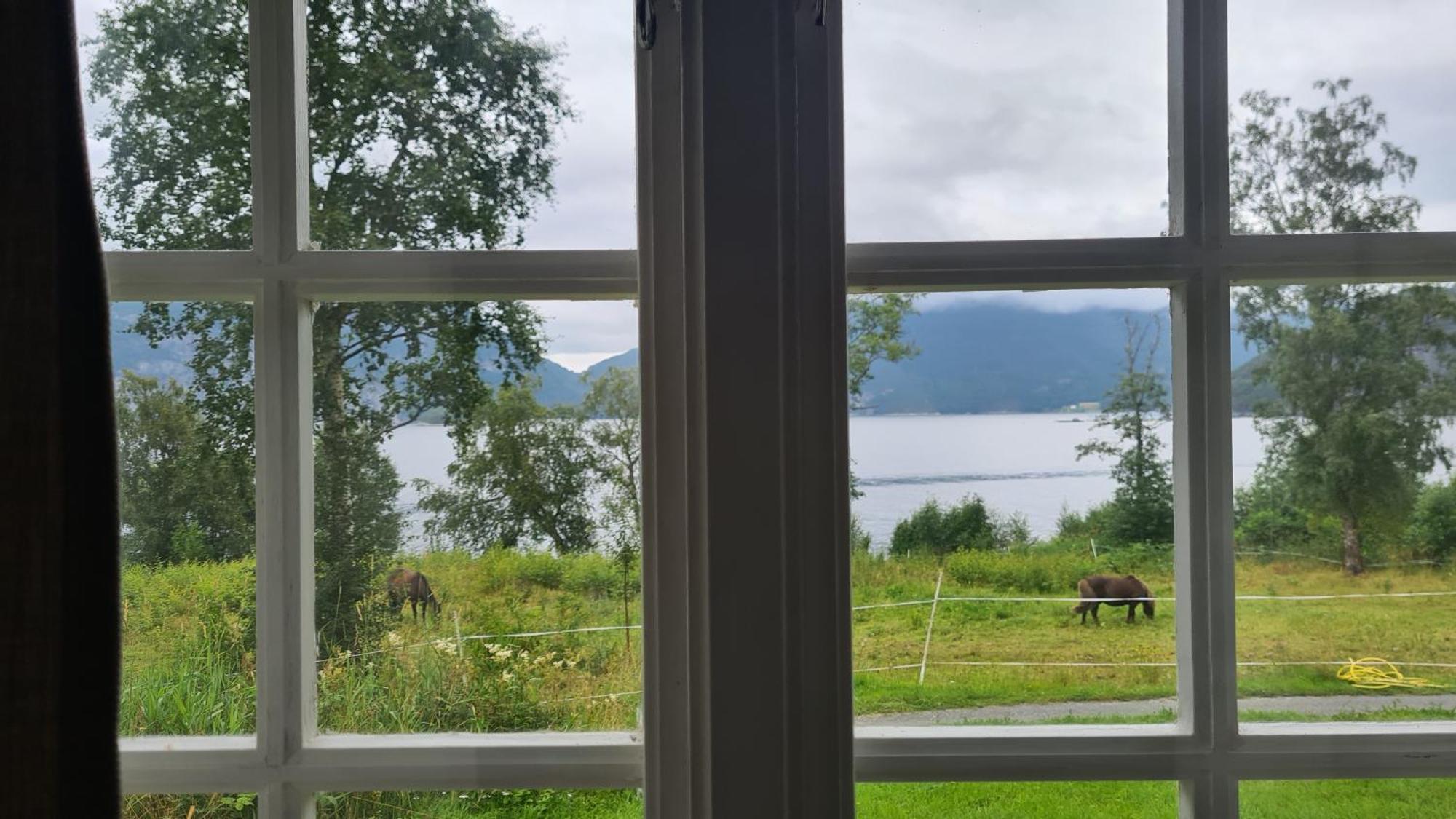 Sunndalsfjord Cottages Fredsvik Meisalstranda 455,506 Og 508 Sunndalsøra Exterior foto